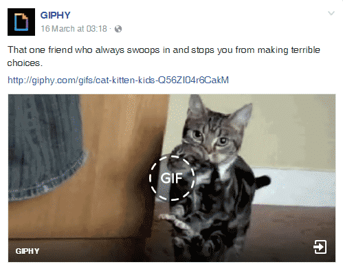 giphy facebook