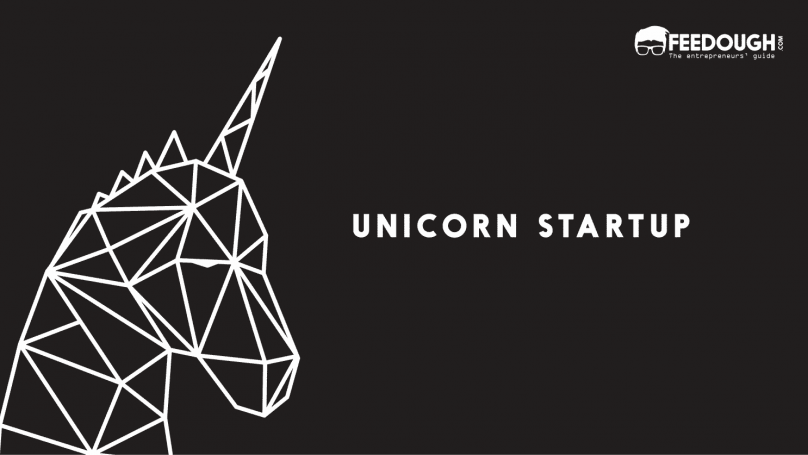 UNICORN STARTUP COMPANY