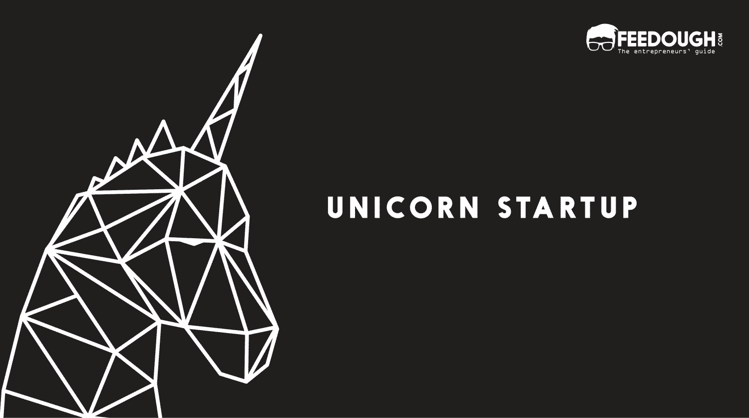 What Is A Unicorn Startup Company?