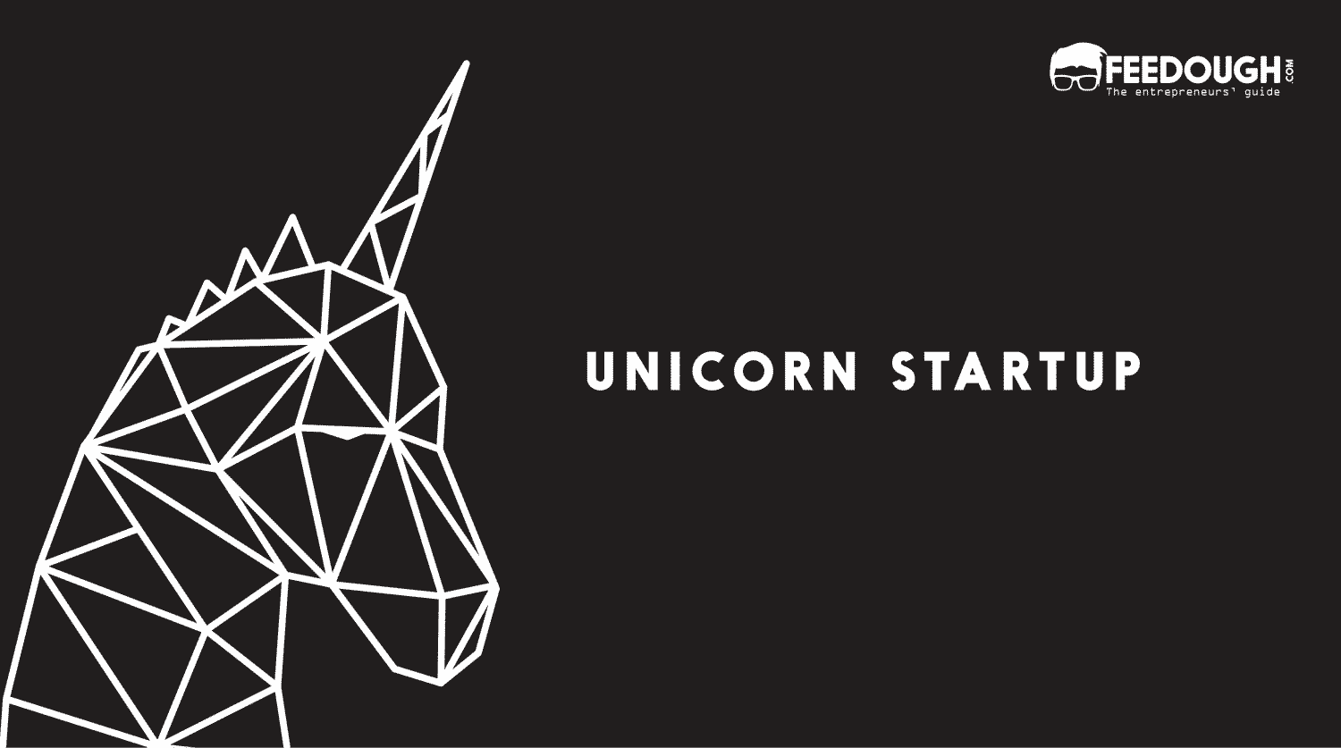 UNICORN STARTUP COMPANY