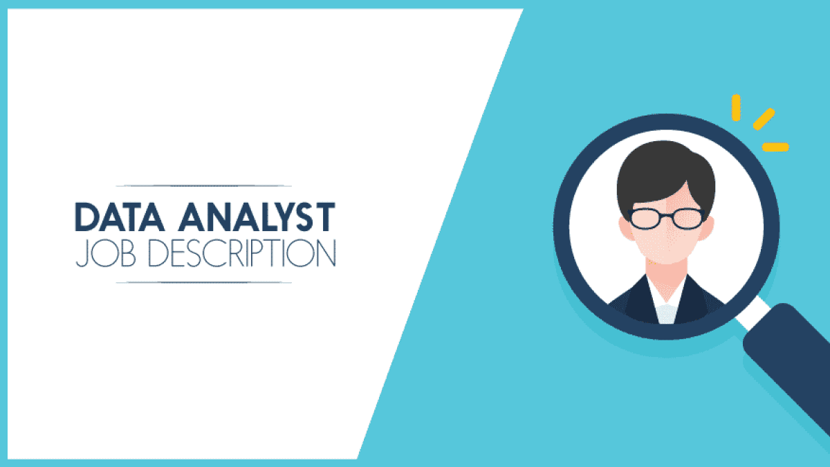 Data analyst job description