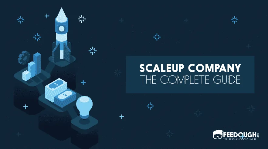 What Is Scaleup Company?