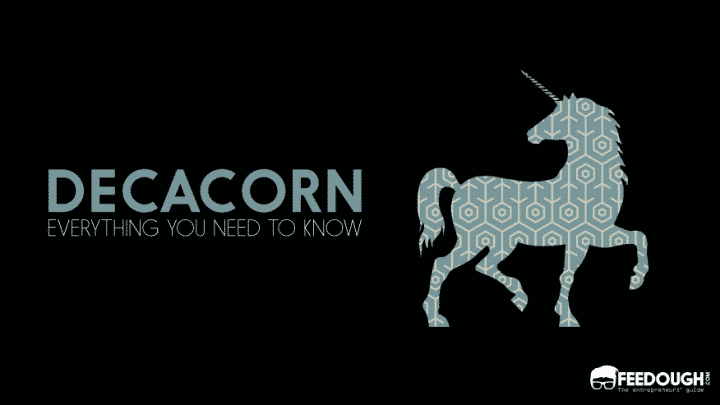 What is a DECACORN