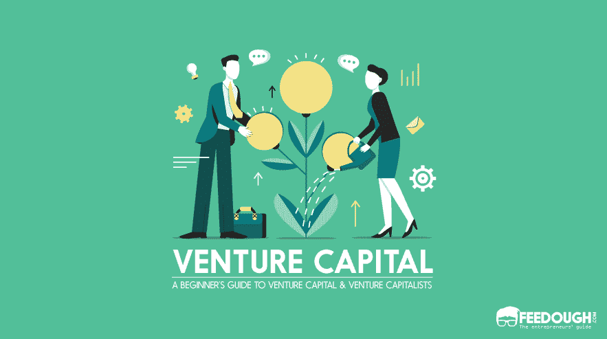 What Is Venture Capital & How It Works?