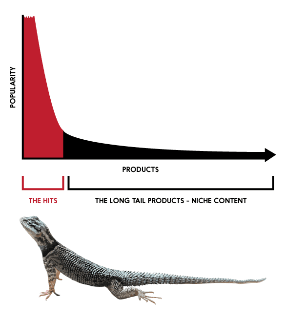 long tail theory
