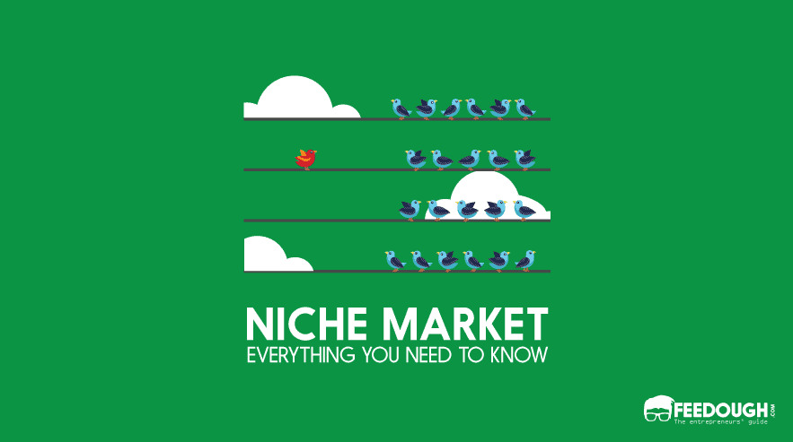 What Is A Niche Market? - Meaning & Examples