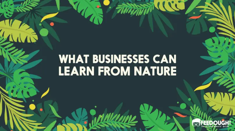 what businesses can Learn from Nature