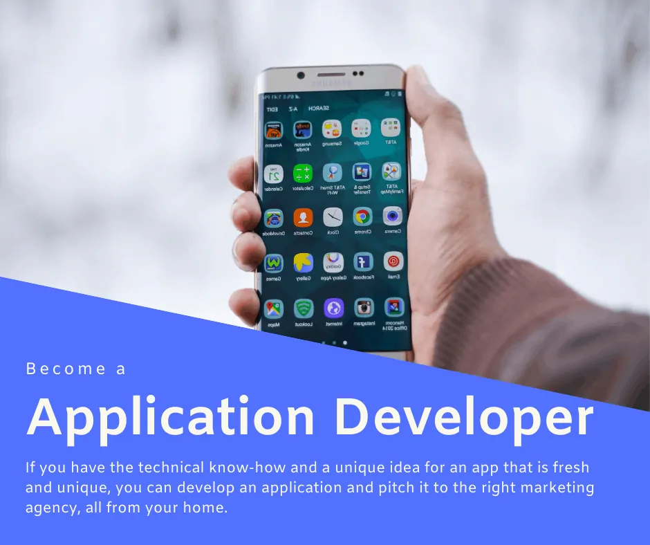 Application Developer