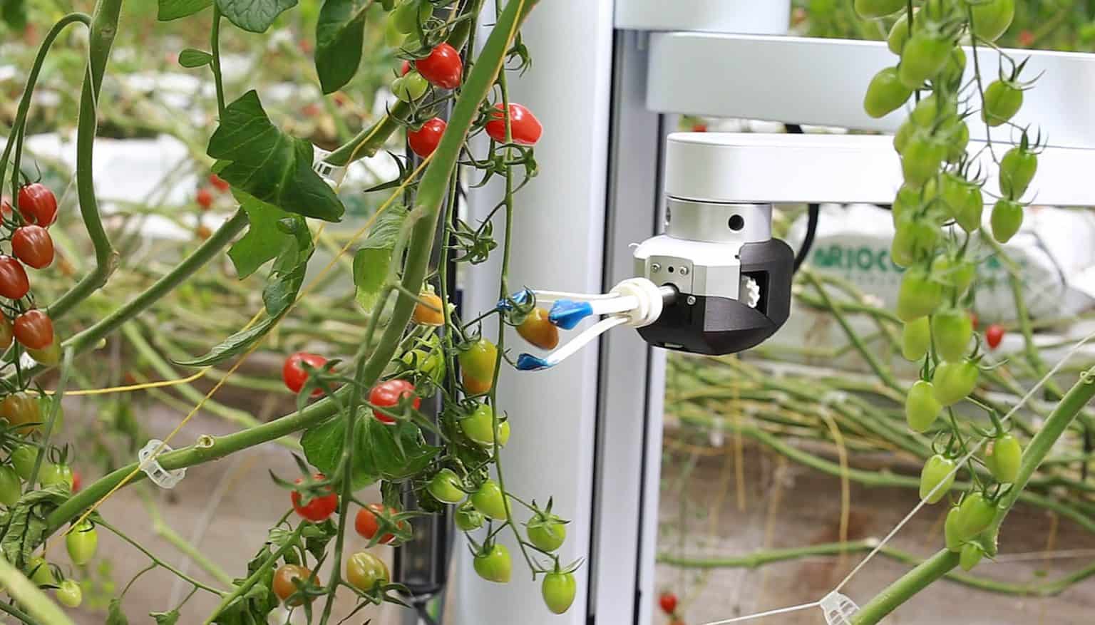 What Is Agritech? - Use Cases, Examples, & Future - Feedough