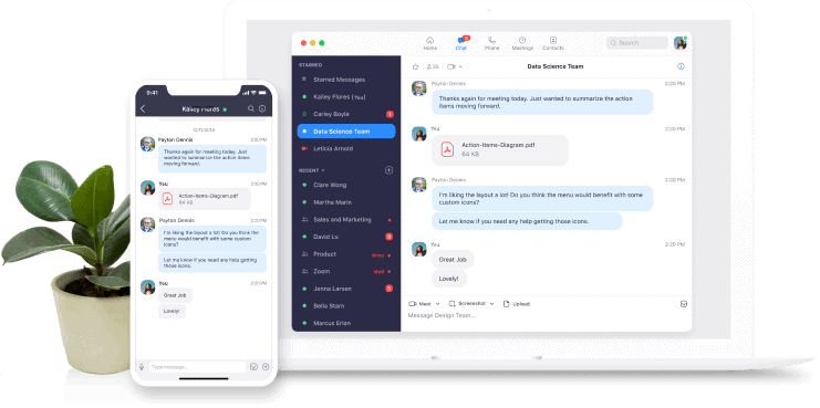 zoom chat