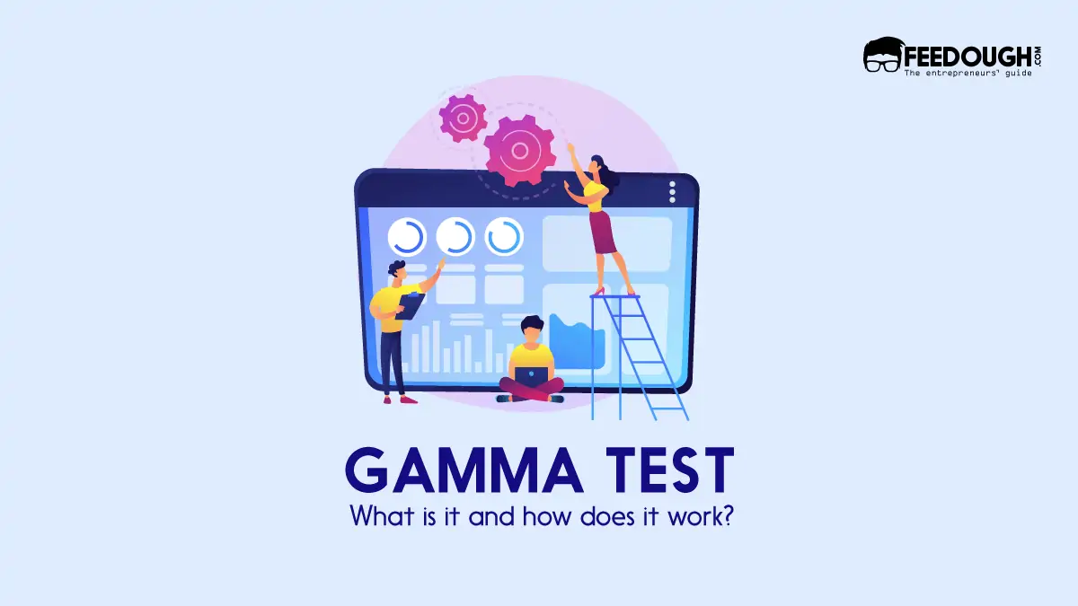 What is Gamma Testing? – A Detailed Guide
