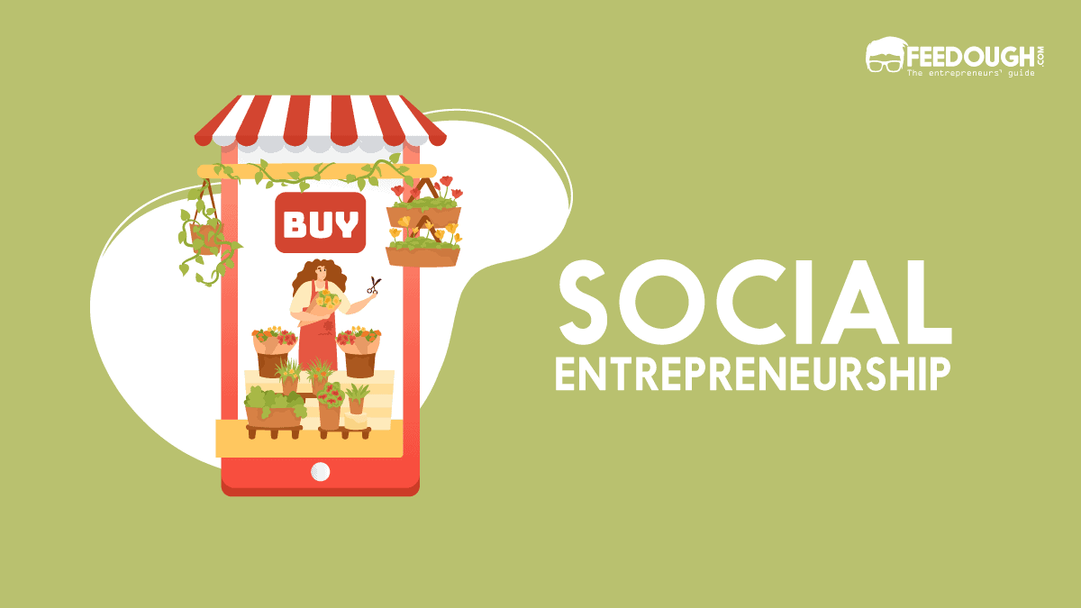 What Is Social Entrepreneurship? - Types & Examples