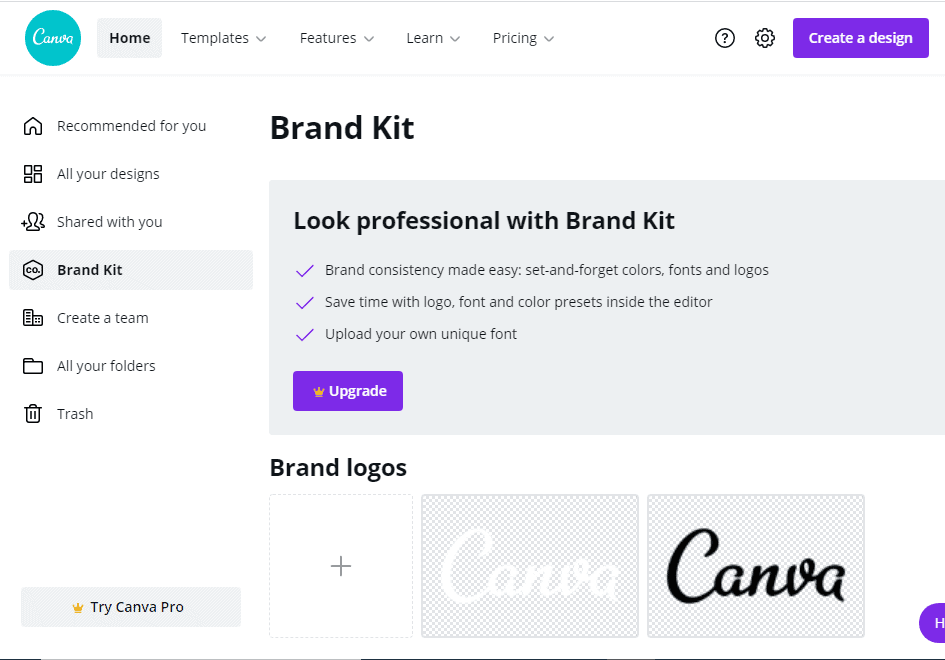 canva brand kit