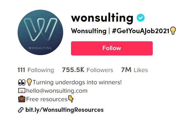Wonsulting - best business tiktoker to help you get a job
