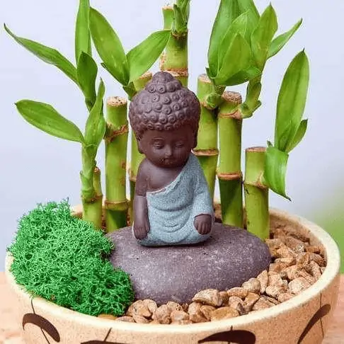 Mini Zen Garden