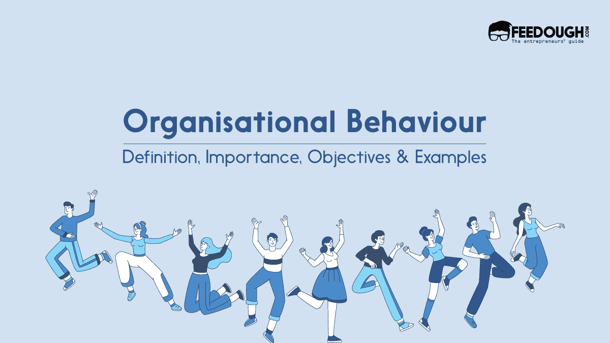What Is Organisational Behaviour? - Importance, Objectives & Examples