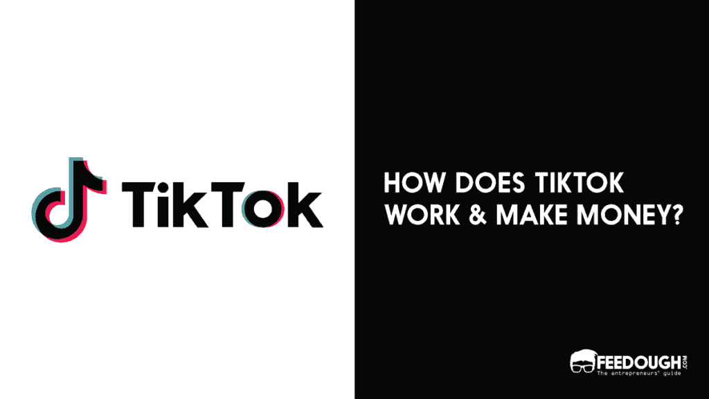 A Brief History Of TikTok And Its Rise To Popularity