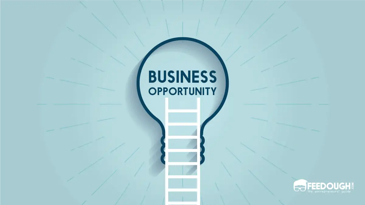 What Is Business Opportunity? - Importance, Types, & Identification