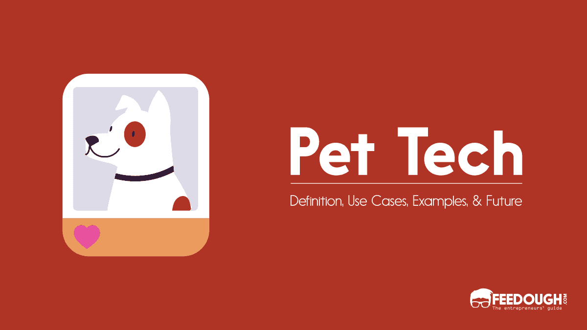 What Is Pet Tech? – Use Cases, Examples, & Future