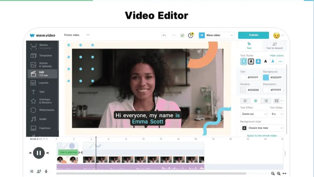 webinar video editor