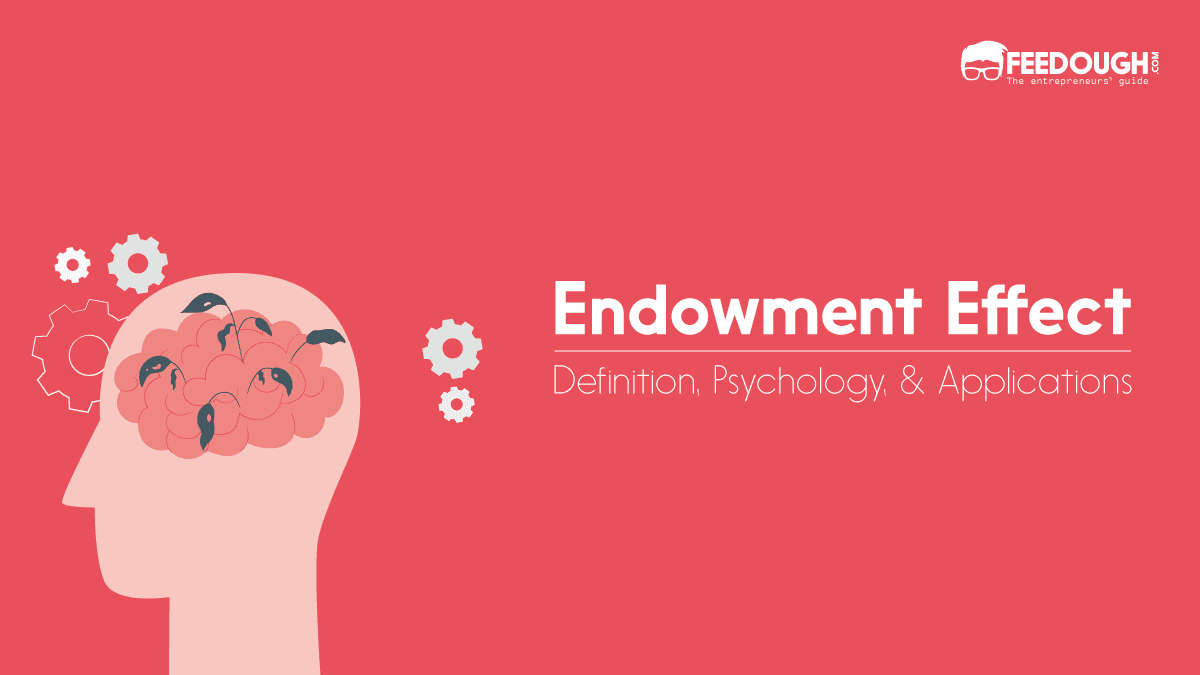What Is Endowment Effect? - Psychology & Applications