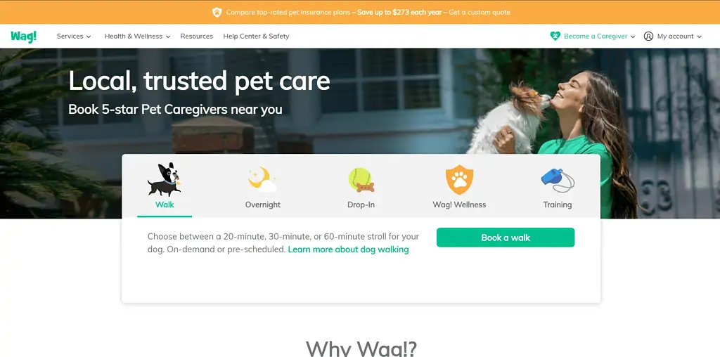 Become A Pet Sitter