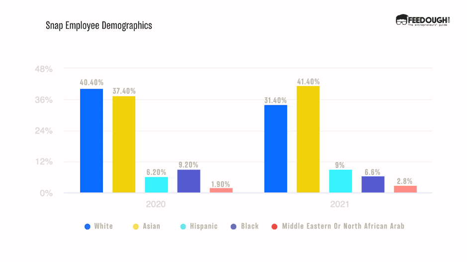 Snap Employee Demographics