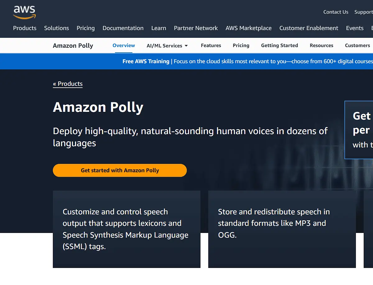 Amazon Polly Text To Speech Software