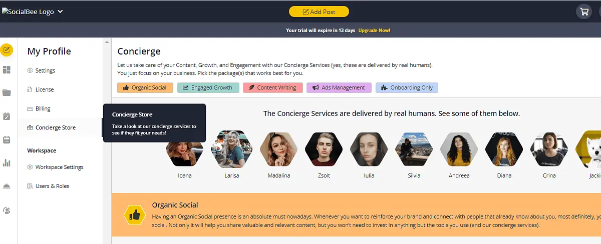 SocialBee Concierge Service 