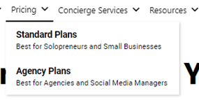 Picture18 SocialBee Pricing Plans
