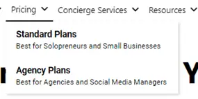 SocialBee Pricing Plans