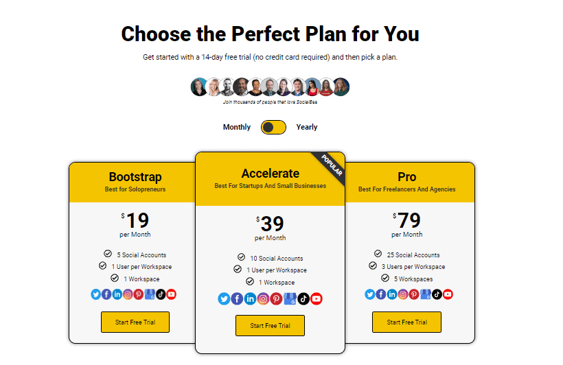 SocialBee Standard Plan 