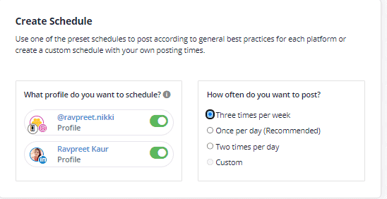 SocialBee Schedule Setup