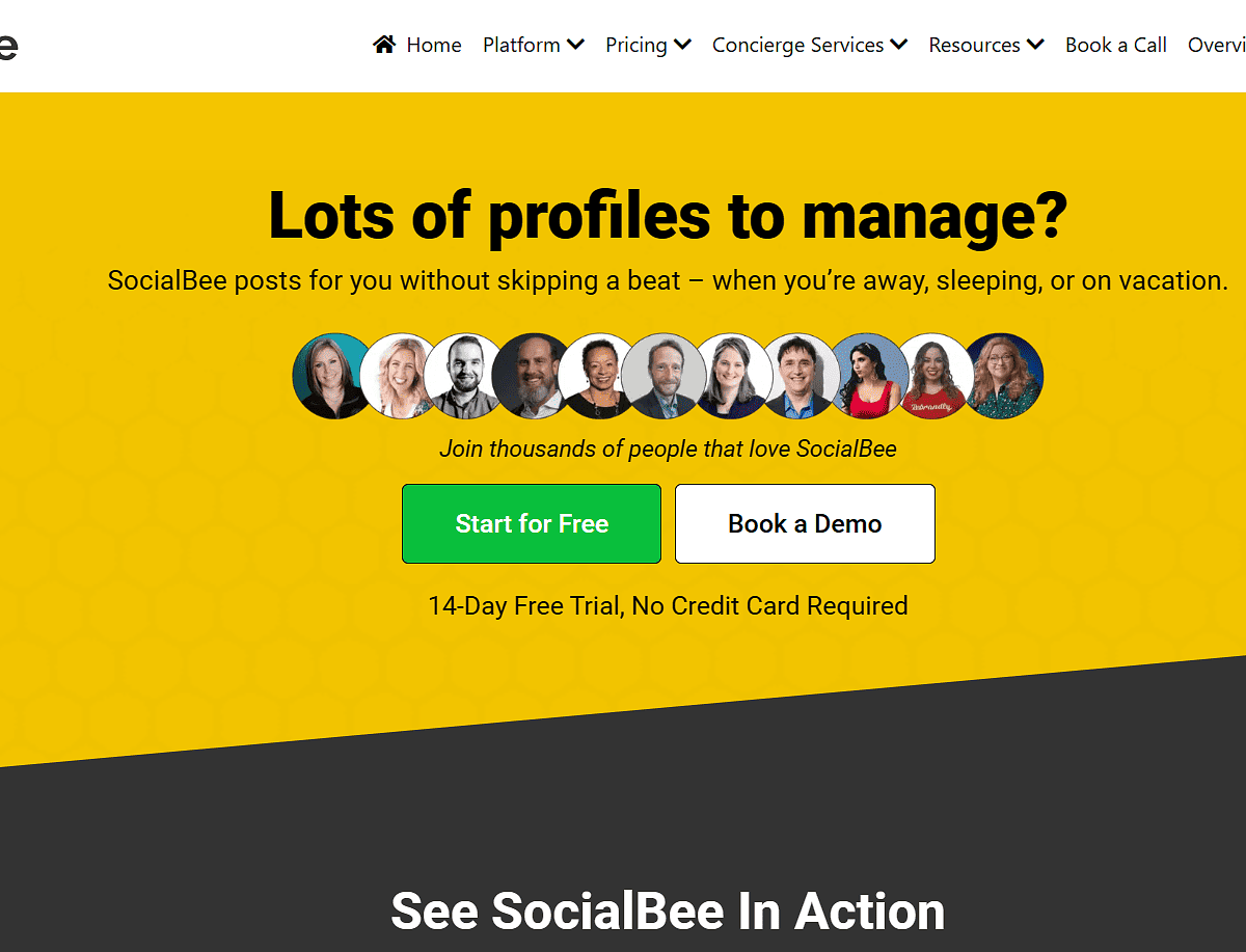 SocialBee SocialBee website