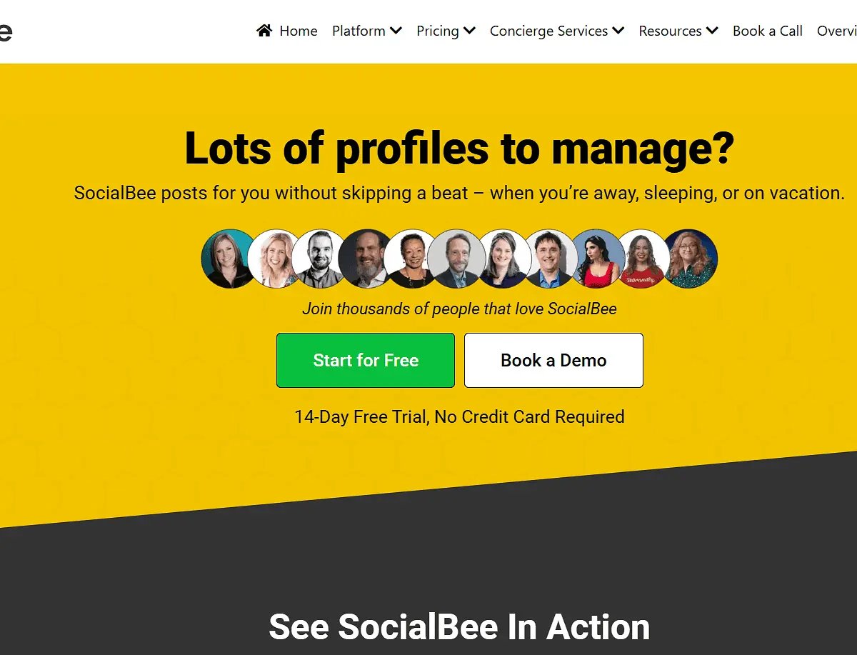 SocialBee website