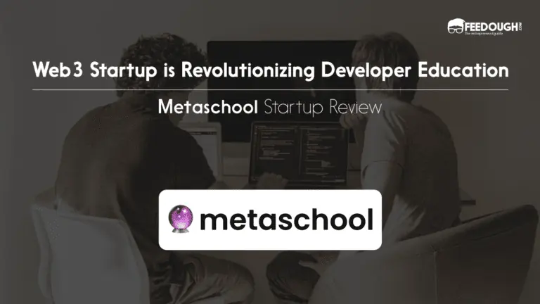 Metaschool Review