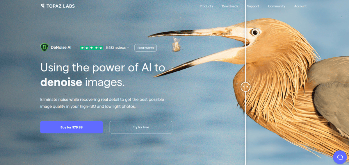 DeNoise AI