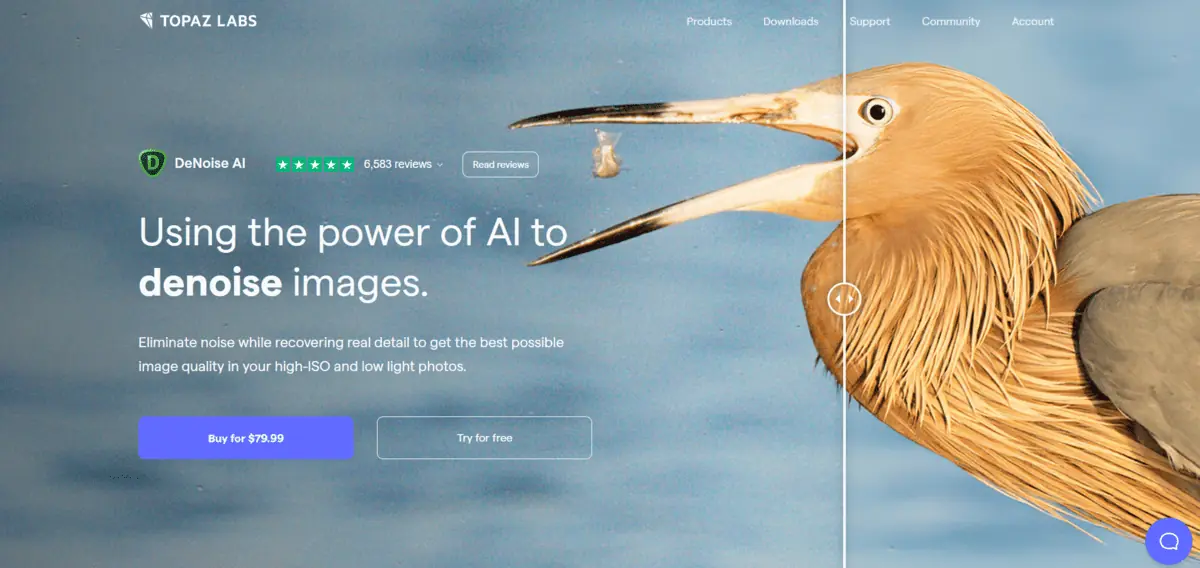 DeNoise AI