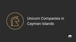 Unicorn Companies in Cayman Islands