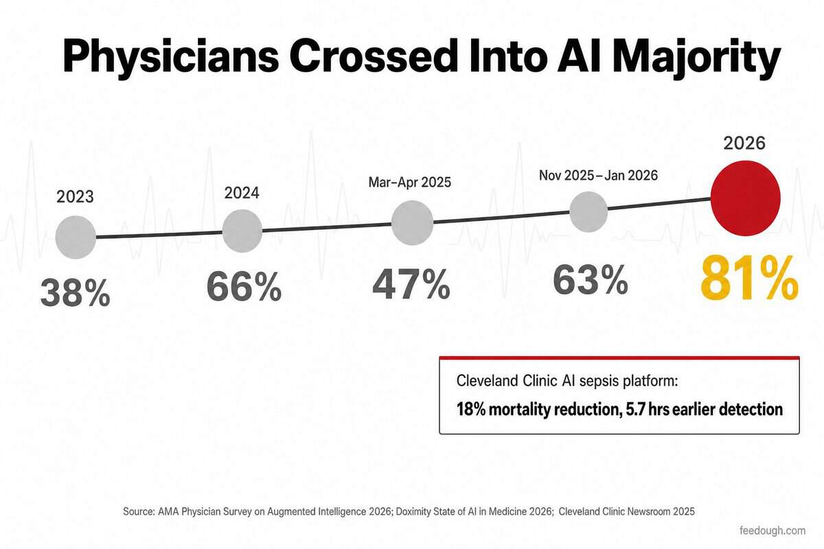 Healthcare Provider Perspectives on AI